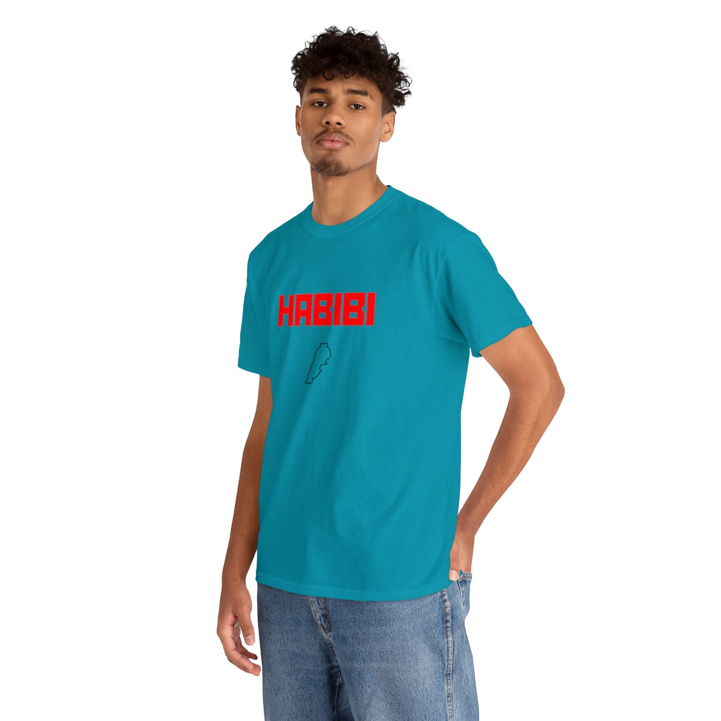 HABIBI