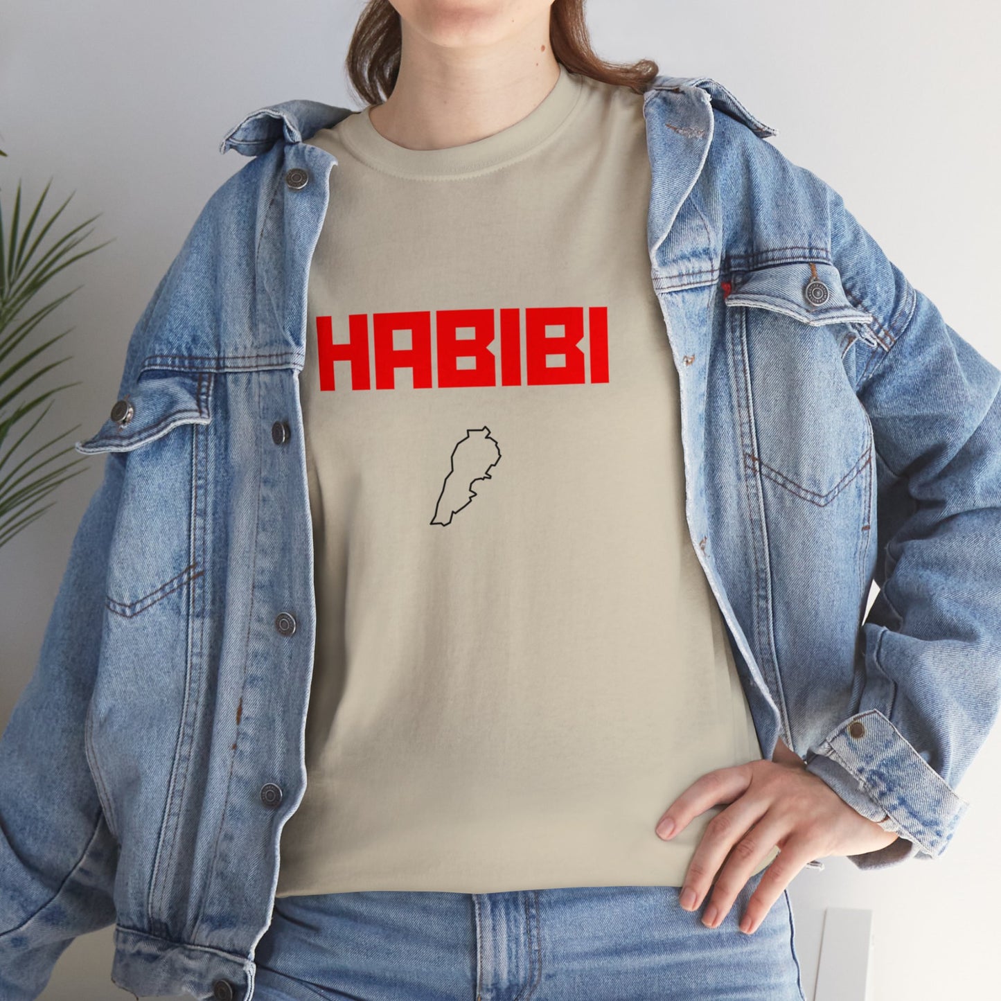 HABIBI