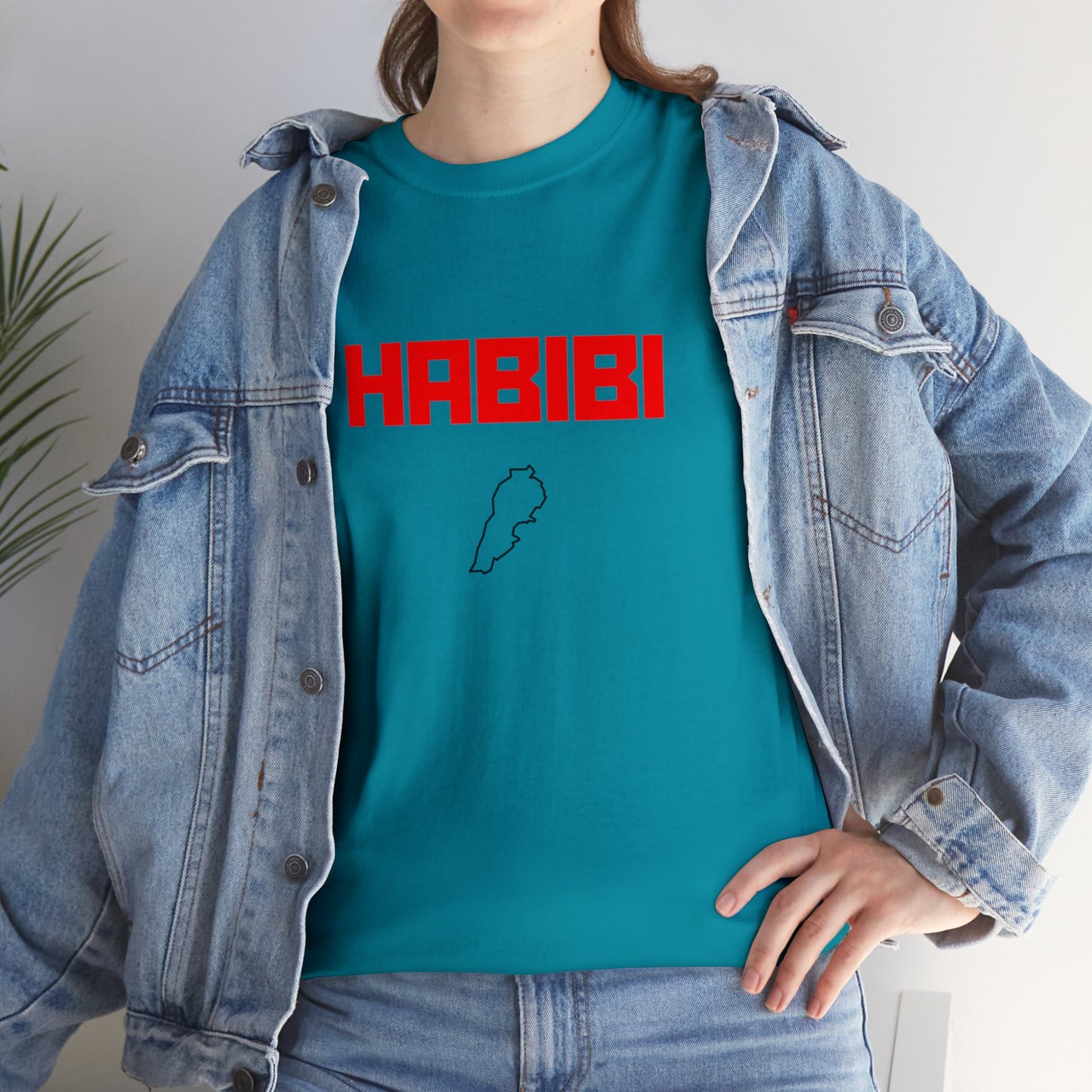 HABIBI