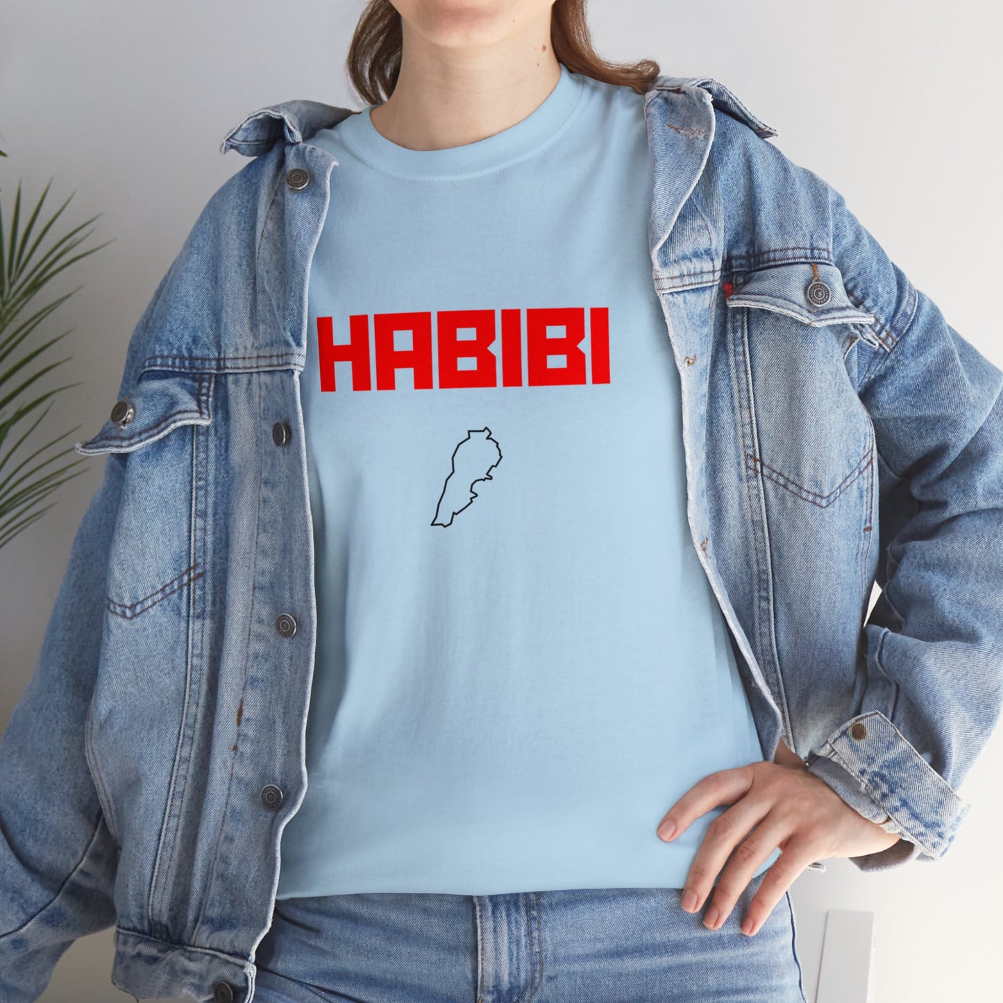 HABIBI