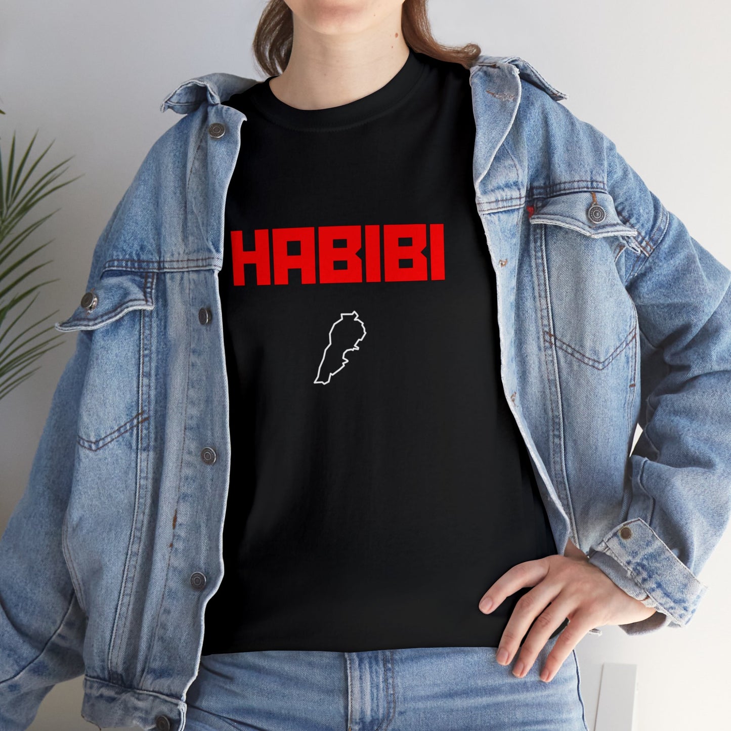 HABIBI