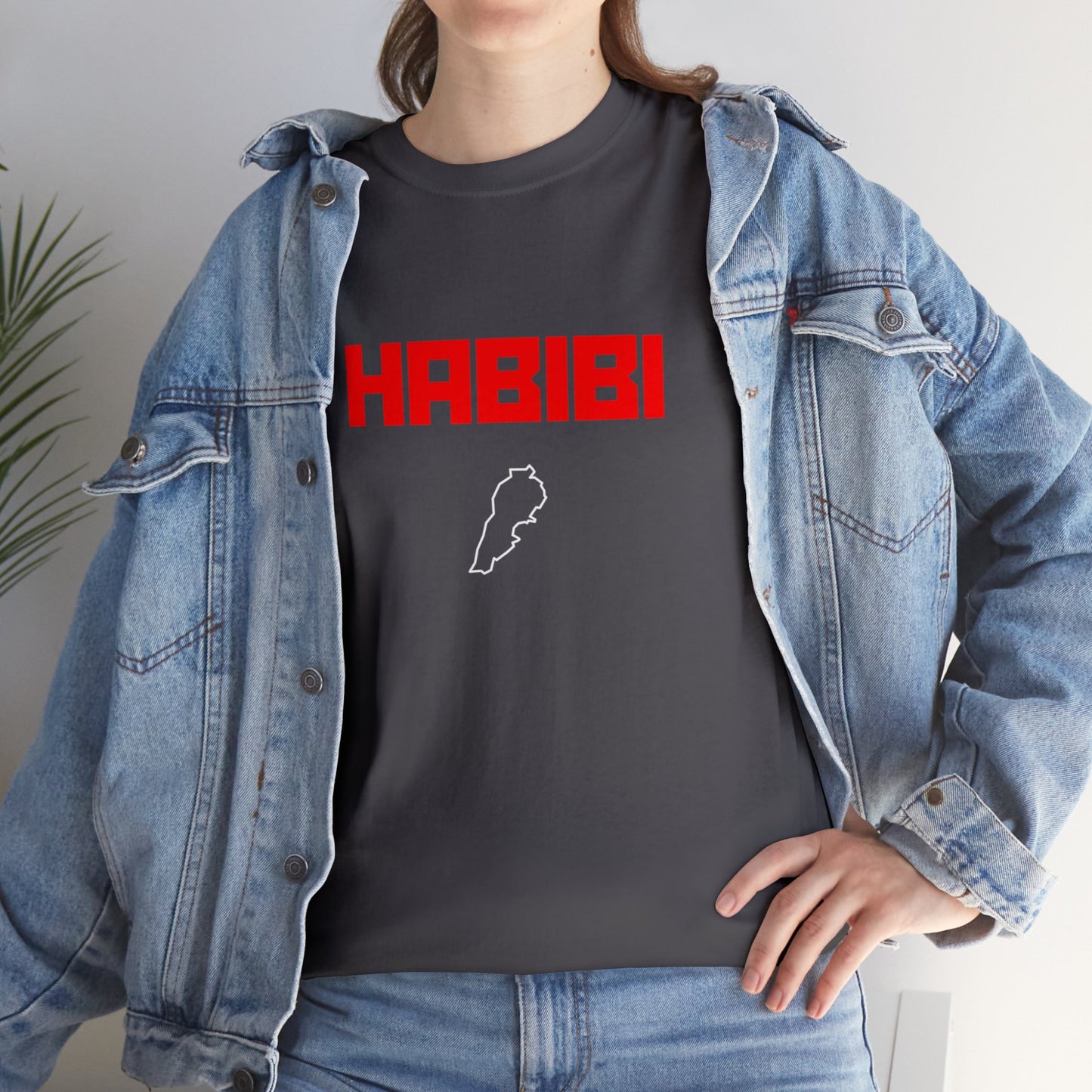 HABIBI