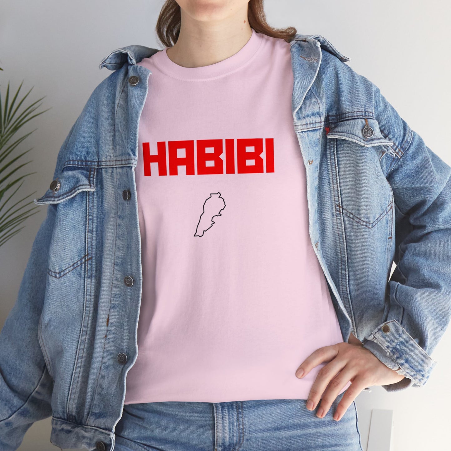 HABIBI