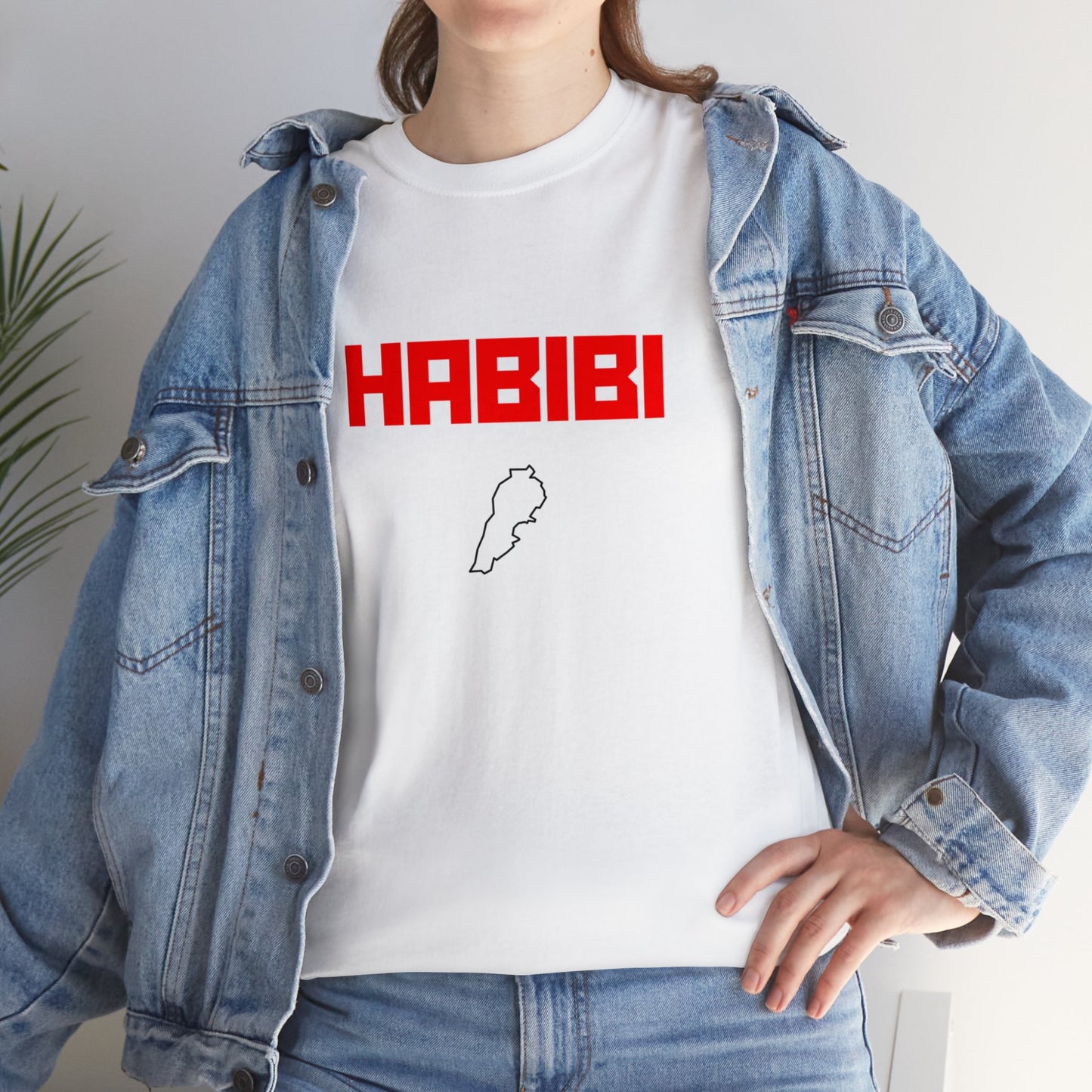 HABIBI